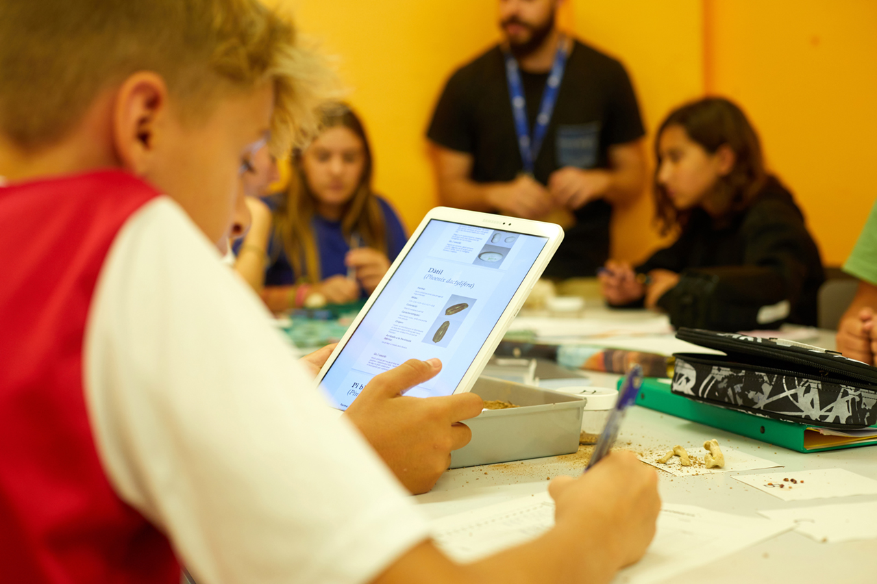 Un grup d'alumnes en una aula