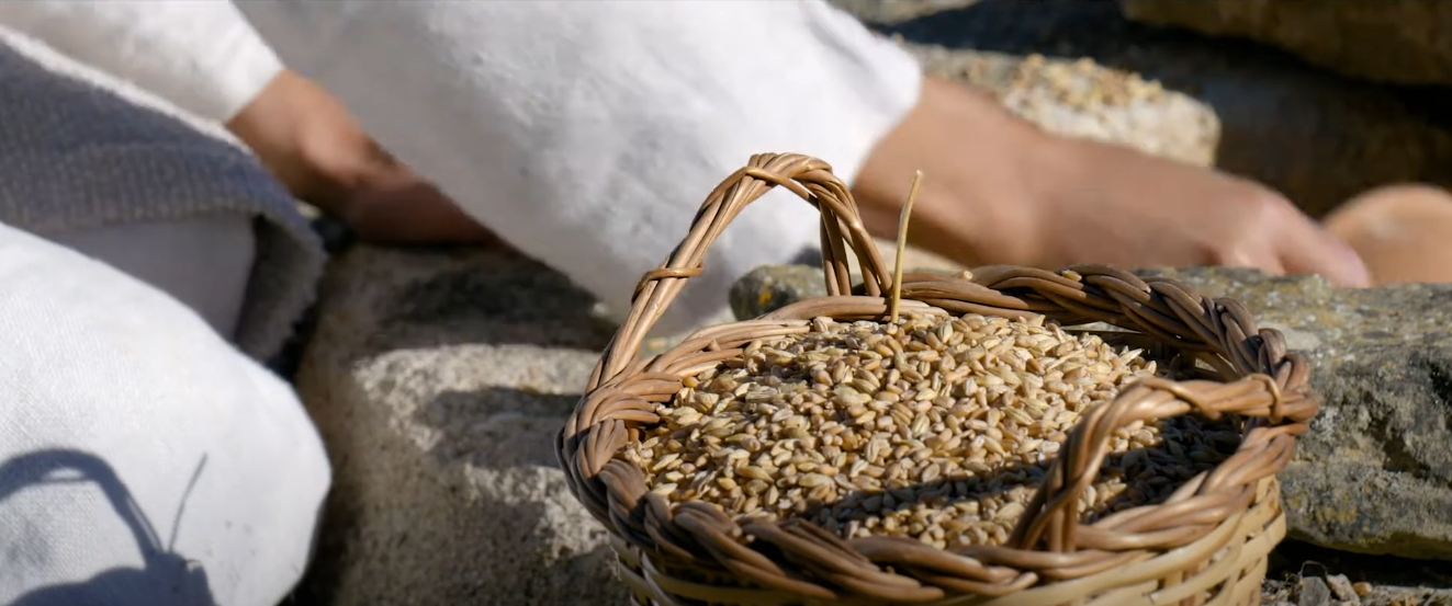 Un cistell curull de gra de blat. 