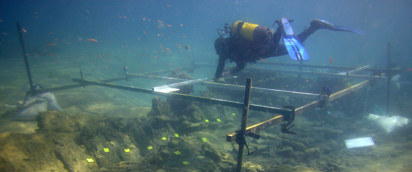 Un submarinista excavant un jaciment sota l'aigua. 
